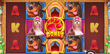 Video Slots