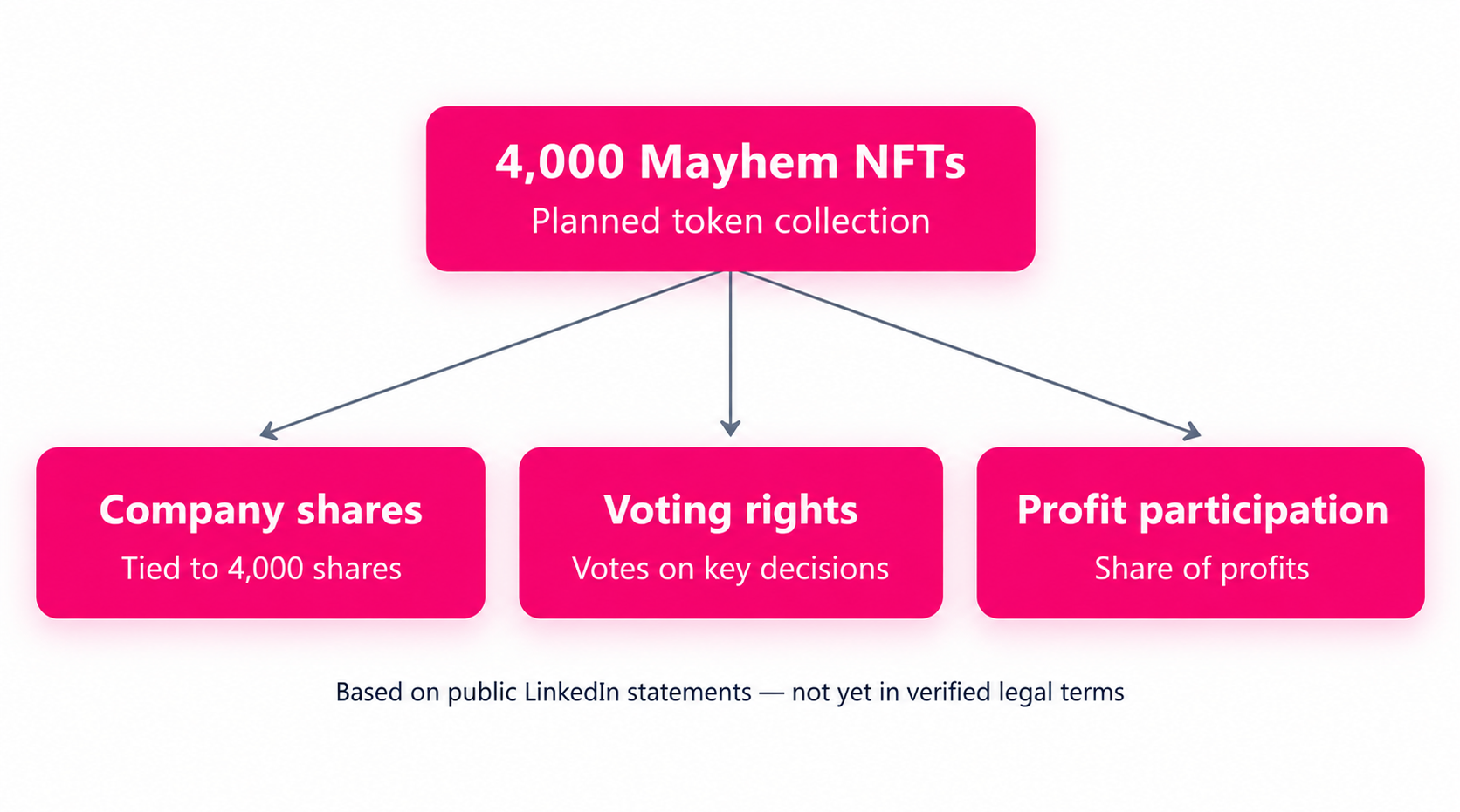 Mayhem Casino NFT ownership structure: company shares, voting rights, and profit participation